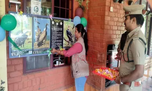 பாறு கழுகுகளை பாதுகாக்க வேண்டும்