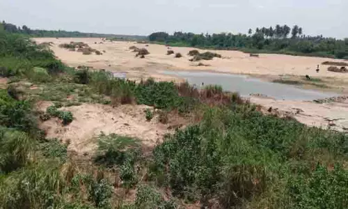 தண்ணீர் இல்லாமல் வறண்டு கிடக்கும் செட்டிப்பாளையம் கதவணை