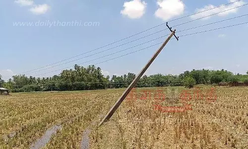 முறிந்து விழும் அபாய நிலையில் மின் கம்பங்கள்