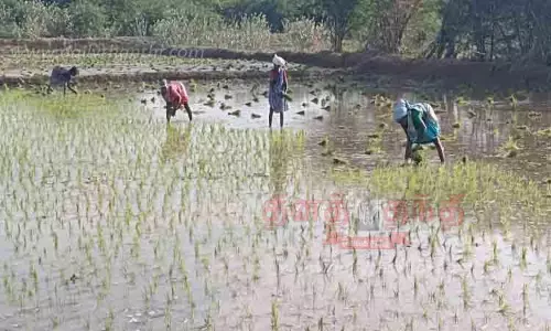 விவசாய பணிகள் தீவிரம்