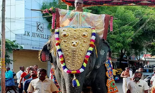 திருச்செந்தூர் சுப்பிரமணிய சுவாமி கோவில் ஆவணித் திருவிழா: யானை மீது கொடிப்பட்டம் வீதிஉலா திருச்செந்தூர் சுப்பிரமணிய சுவாமி கோவில் ஆவணித் திருவிழா: யானை மீது கொடிப்பட்டம் வீதிஉலா