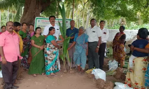 பொள்ளாச்சி அருகே விவசாயிகளுக்கு தென்னை தொழில்நுட்ப பயிற்சி பொள்ளாச்சி அருகே விவசாயிகளுக்கு தென்னை தொழில்நுட்ப பயிற்சி