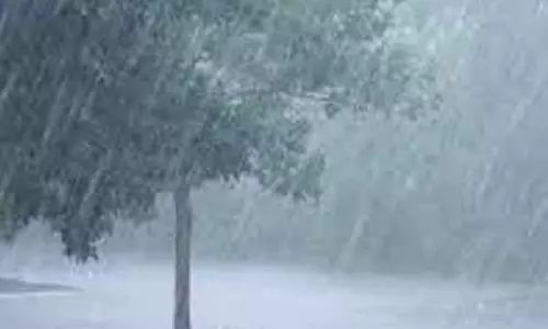 குமரியில் மழை நீடிப்பு:பெருஞ்சாணி அணையில் இருந்து வினாடிக்கு 200 கனஅடி தண்ணீர் திறப்பு குமரியில் மழை நீடிப்பு:பெருஞ்சாணி அணையில் இருந்து வினாடிக்கு 200 கனஅடி தண்ணீர் திறப்பு