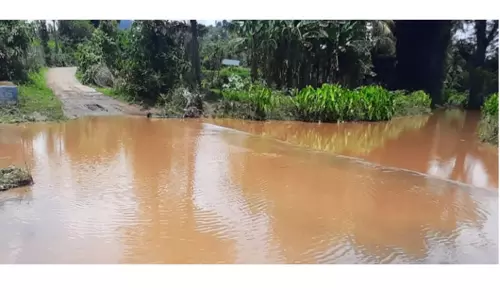 காட்டாற்று வெள்ளத்தில் தரைப்பாலம் மூழ்கியது