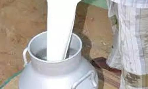 ஆவின் நிறுவனத்திற்கு அனுப்பும் பாலில் கலப்படம்