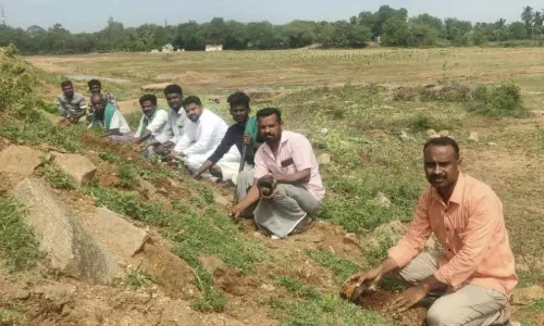 1,001 பனை விதைகள் நடும் நிகழ்ச்சி