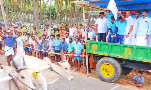 கலைஞர் நூற்றாண்டு விழா ரேக்ளா போட்டி