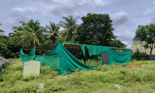 காளியாபுரம் ஊராட்சியில் முடங்கிப்போன முருங்கை உற்பத்திக்கூடம்-புத்துயிர் பெறுமா? விவசாயிகள் எதிர்பார்ப்பு