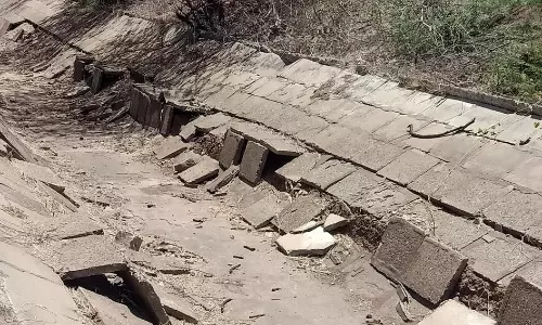 பி.ஏ.பி. கால்வாயின் இருபுறங்களிலும் ஆக்கிரமித்துள்ள சீமைகருவேல மரங்கள்