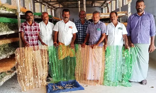 வீழ்ச்சி அடையும் பட்டுப்புழு வளர்ப்பு தொழில்