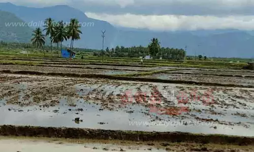 விவசாய பணிகள் தீவிரம்