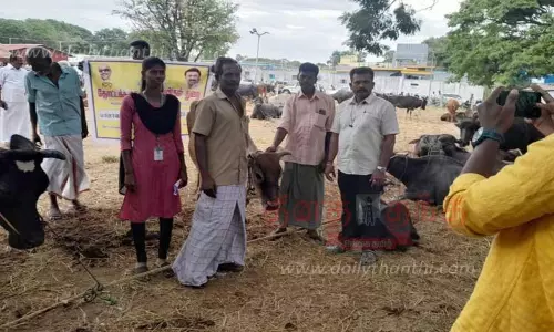 மாடுகளை வாமாடுகளை வாங்காத அதிகாரிகள் மீது வியாபாரிகள் அதிருப்திங்காத அதிகாரிகள் மீது வியாபாரிகள் அதிருப்தி