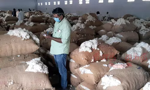 ரூ.43 லட்சத்துக்கு பருத்தி ஏலம்