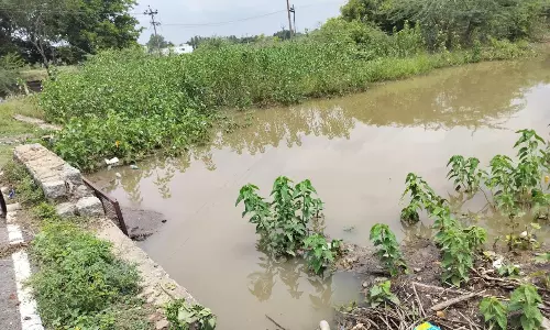 வரத்து வாய்க்காலில் அடைப்பு ஏற்படுத்தி தண்ணீர் வராமல் தடுக்கும் கும்பல்