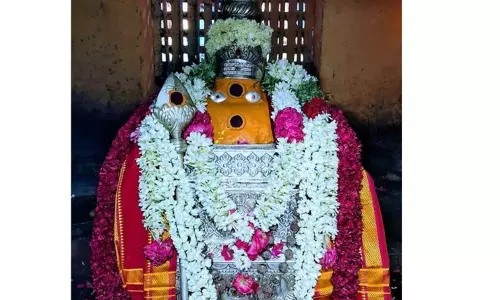 விருத்தாசலம்  கொளஞ்சியப்பர் கோவிலில் கிருத்திகை  வழிபாடு