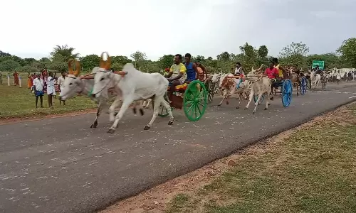 மாட்டு வண்டி எல்கை பந்தயம்