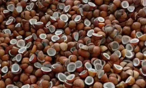 உத்தமசோழபுரம் ஒழுங்குமுறை விற்பனை கூடத்தில்ரூ.6.37 லட்சத்துக்கு கொப்பரை தேங்காய் ஏலம்