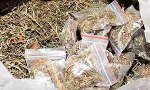 சேலம் வழியாக கேரளாவுக்குரெயிலில் கடத்திய 5 கிலோ கஞ்சா பறிமுதல்