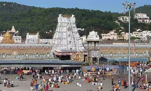 திருப்பதி கோவிலுக்கு 1 கோடி கோவிந்தா நாமம் எழுதி சென்றால் வி.ஐ.பி. தரிசனம் திருப்பதி கோவிலுக்கு 1 கோடி கோவிந்தா நாமம் எழுதி சென்றால் வி.ஐ.பி. தரிசனம்