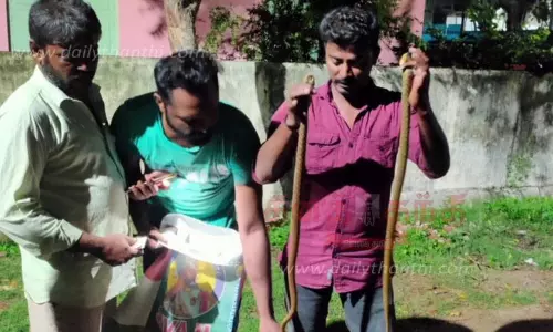 ரோட்டில் படுத்திருந்த 2 நாகப்பாம்புகளால் பரபரப்பு