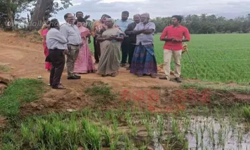 கடையத்தில்  வேளாண்மை அதிகாரிகள் ஆய்வு