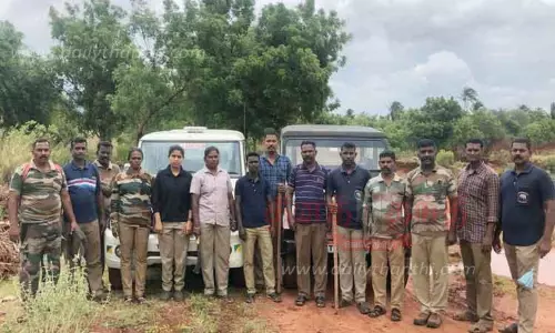 ஊருக்குள் கரடி புகுந்ததால் பரபரப்பு