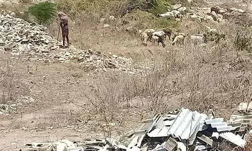 உப்பாறு ஓடையில் கொட்டப்படும் கட்டிட கழிவுகள் உப்பாறு ஓடையில் கொட்டப்படும் கட்டிட கழிவுகள்