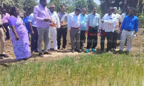 குறுவை அறுவடை, சம்பா சாகுபடி ஆயத்த பணிகள்