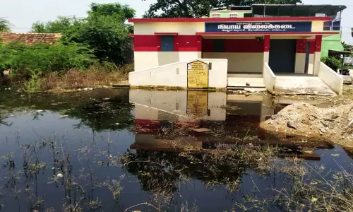 குளம்போல் தேங்கிய மழைநீர்