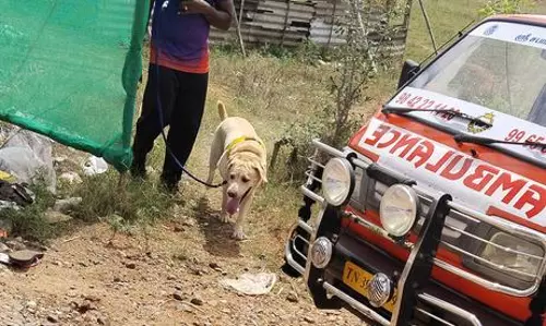 கழுத்தறுத்து வாலிபர் படுகொலை கழுத்தறுத்து வாலிபர் படுகொலை