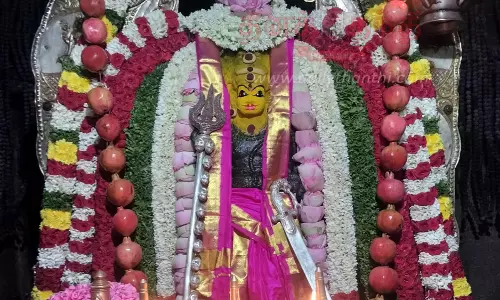 தேய்பிறை அஷ்டமியையொட்டி அதியமான்கோட்டை தட்சணகாசி காலபைரவர் கோவிலில் சிறப்பு வழிபாடுஏராளமான பக்தர்கள் சாமி தரிசனம்