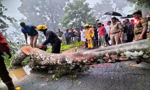 கூடலூர்- கேரளா சாலையில் மரம் விழுந்தது -போக்குவரத்து பாதிப்பு