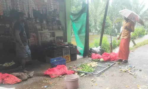 பந்தலூர் அருகே மளிகை, ரேஷன் கடையை உடைத்து காட்டு யானை அட்டகாசம்