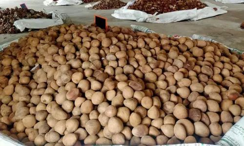 ரூ.2 லட்சத்துக்கு கொப்பரை ஏலம்