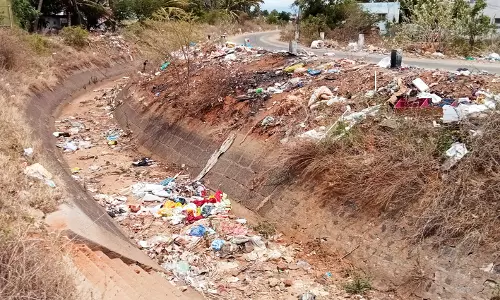 குப்பை ெதாட்டியான பி.ஏ.பி. கால்வாய்