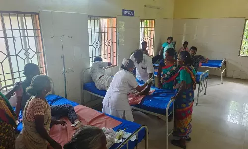 செஞ்சியில் வெறிநாய் கடித்ததில் 15 பேர் காயம்