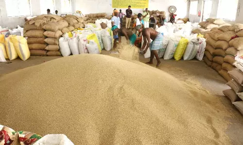 விழுப்புரம் ஒழுங்குமுறை விற்பனைக்கூடத்திற்கு கம்பு வரத்து அதிகரிப்பு விலை உயர்வால் விவசாயிகள் மகிழ்ச்சி