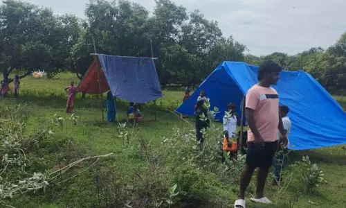 மாந்தோப்பில் குடிசைகள் அமைத்த பொதுமக்கள் மாந்தோப்பில் குடிசைகள் அமைத்த பொதுமக்கள்