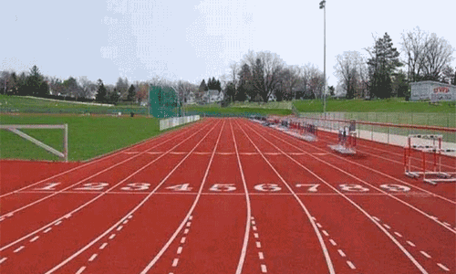 டைமண்ட் லீக் இறுதி சுற்றில் இருந்து ஸ்ரீசங்கர் விலகல்