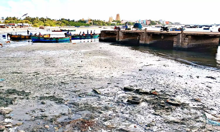 ராமேசுவரத்தில் 50 மீட்டர் உள்வாங்கிய கடல்