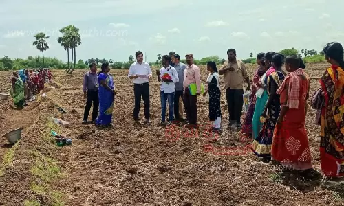 வளர்ச்சி திட்ட பணிகளை உதவி கலெக்டர் ஆய்வு