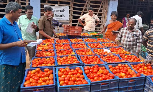 கோவையில் ஒரு கிலோ தக்காளி ரூ.12-க்கு விற்பனை