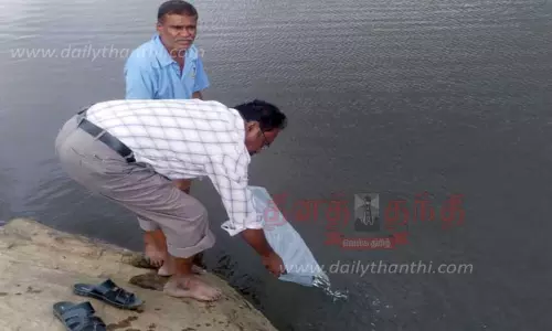 ஆழியாறு அணையில் 3 லட்சம் மீன்குஞ்சுகள் விட இலக்கு