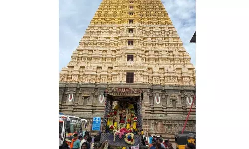 திருக்கோவிலூர் உலகளந்த பெருமாள் கோவிலில்சேஷவாகனத்தில் வேணுகோபாலசாமி வீதிஉலாதிரளான பக்தர்கள் தரிசனம்