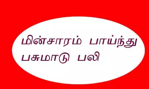 மின்சாரம் பாய்ந்து பசு-ஆடு பலி