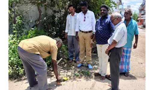 மும்முனை மின்சாரத்திற்கு புதிய மின்கம்பங்கள் அமைக்கும் பணி