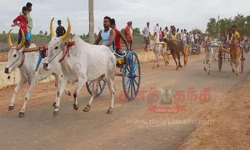 காளையார்கோவில் பகுதியில் பந்தயம்: சீறிப்பாய்ந்த மாட்டு வண்டிகள்