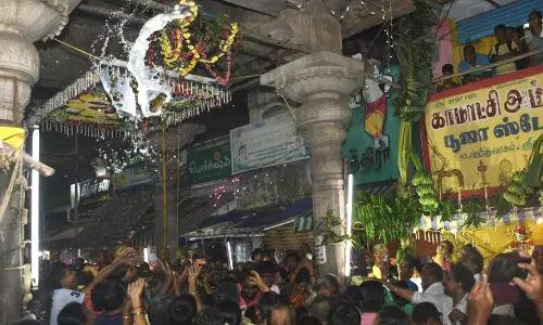 உறியடி உற்சவம் கொண்டாட்டம்