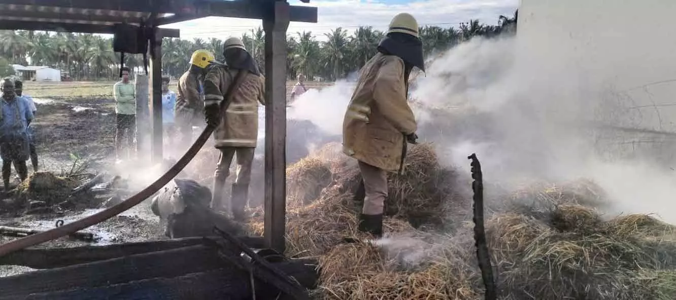 மாட்டு கொட்டகையில் பயங்கர தீ; கன்றுக்குட்டி, ஆடுகள் பலி
