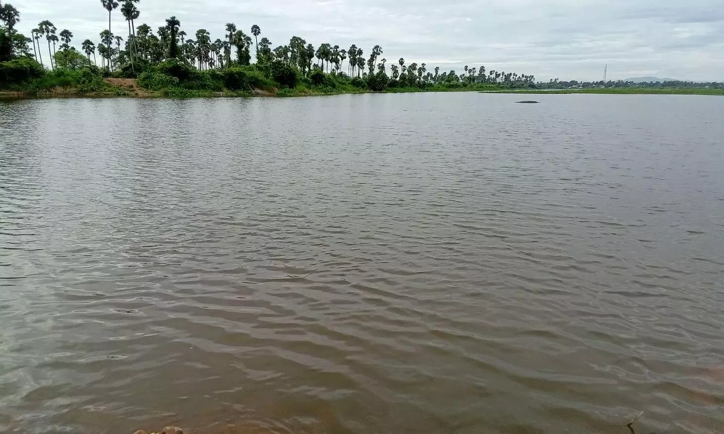 கல்வராயன்மலை பகுதியில் தொடர்மழை:நீர்வரத்து அதிகரித்து வேகமாக நிரம்பும் ஏரி, குளங்கள் :விவசாயிகள் மகிழ்ச்சி